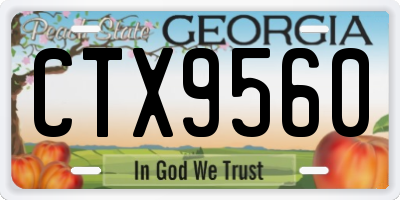 GA license plate CTX9560