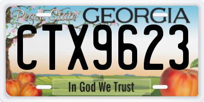 GA license plate CTX9623
