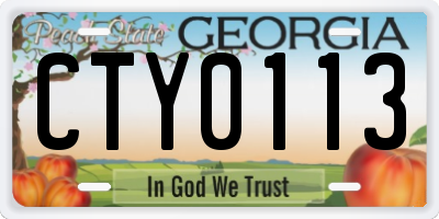GA license plate CTY0113