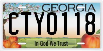 GA license plate CTY0118