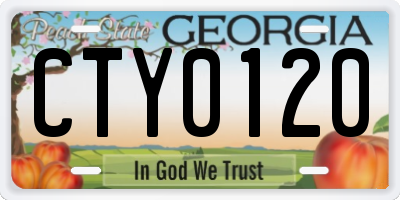 GA license plate CTY0120