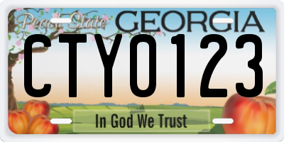 GA license plate CTY0123