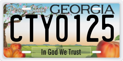 GA license plate CTY0125