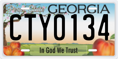 GA license plate CTY0134