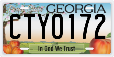 GA license plate CTY0172