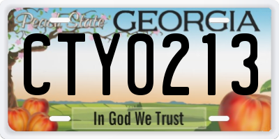 GA license plate CTY0213