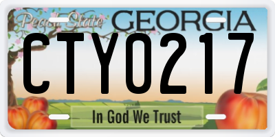 GA license plate CTY0217