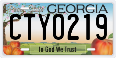 GA license plate CTY0219