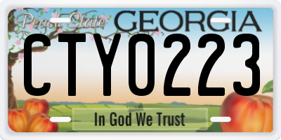 GA license plate CTY0223