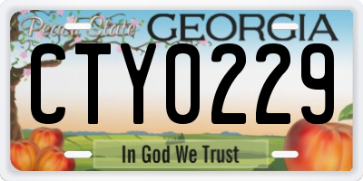 GA license plate CTY0229