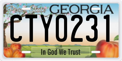 GA license plate CTY0231