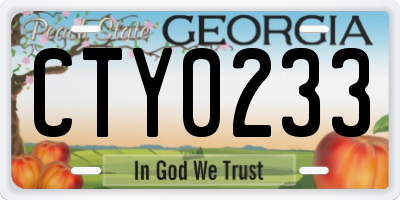 GA license plate CTY0233