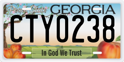 GA license plate CTY0238