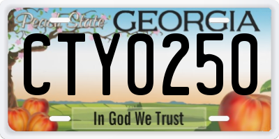 GA license plate CTY0250