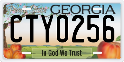 GA license plate CTY0256