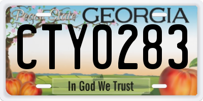 GA license plate CTY0283
