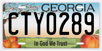 GA license plate CTY0289