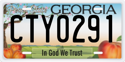 GA license plate CTY0291