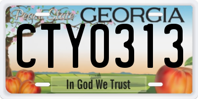 GA license plate CTY0313