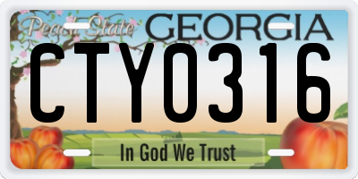 GA license plate CTY0316