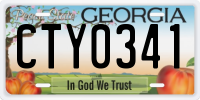 GA license plate CTY0341