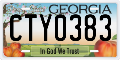 GA license plate CTY0383