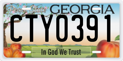 GA license plate CTY0391