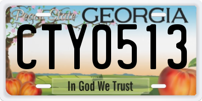 GA license plate CTY0513