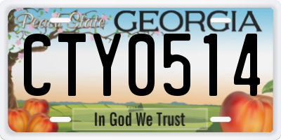GA license plate CTY0514