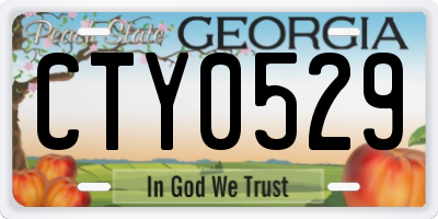 GA license plate CTY0529