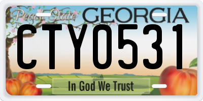 GA license plate CTY0531