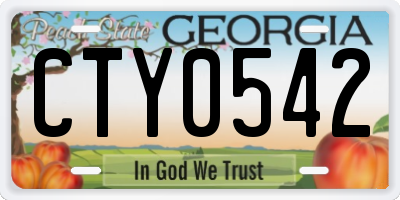GA license plate CTY0542