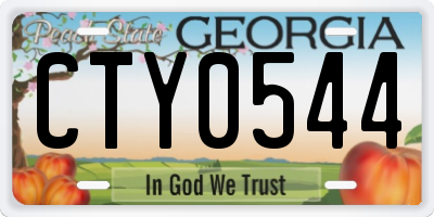 GA license plate CTY0544