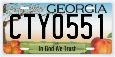 GA license plate CTY0551