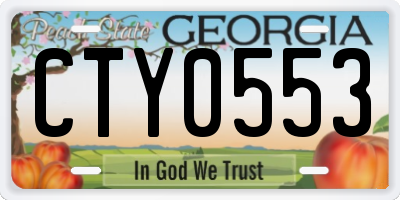 GA license plate CTY0553