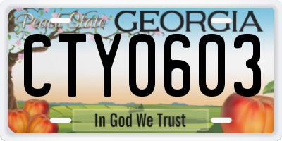 GA license plate CTY0603