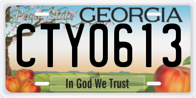 GA license plate CTY0613