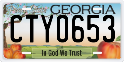 GA license plate CTY0653