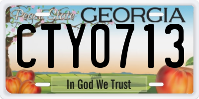GA license plate CTY0713