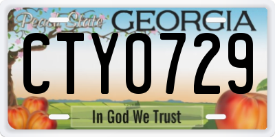 GA license plate CTY0729