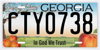 GA license plate CTY0738