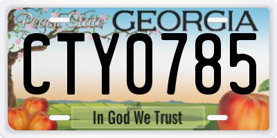GA license plate CTY0785