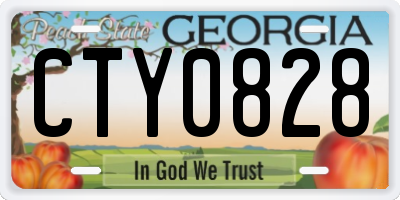 GA license plate CTY0828