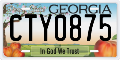 GA license plate CTY0875