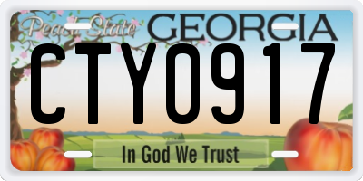 GA license plate CTY0917