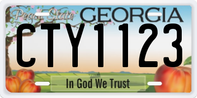 GA license plate CTY1123