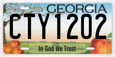 GA license plate CTY1202