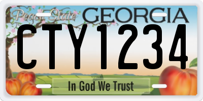 GA license plate CTY1234