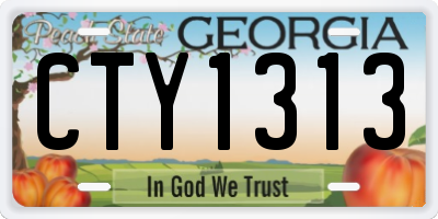 GA license plate CTY1313