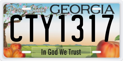GA license plate CTY1317